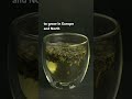 Making "tea" with peppermint leaves