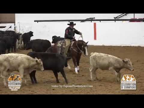 Brother Jackson - 2016 NRCHA Celebration of Champions (Herd Work - WGH)