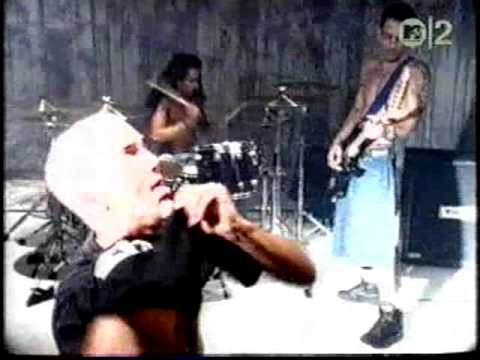 download lagu mp3 mp4 Electric Love Hogs 1992 Electric Love Hogs, download mp3 Electric Love Hogs 1992 Electric Love Hogs free download mp3, download mp3 Electric Love Hogs 1992 Electric Love Hogs