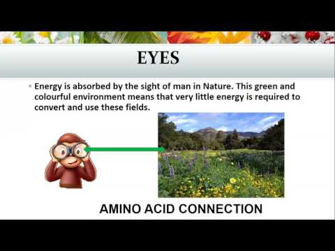 2017 03 12 AM Public Teaching for Gardeners and Growers in English