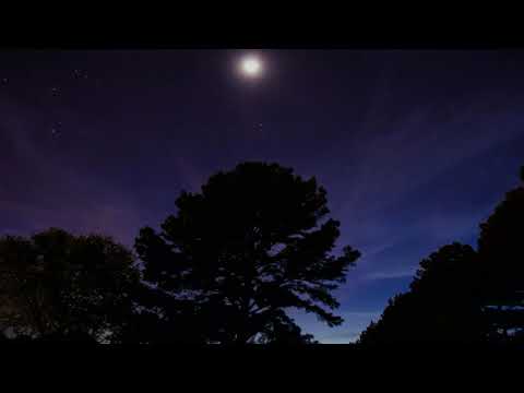 C.Vansanga-Di runah(Original)