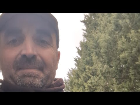 Simone Chiarelli e la programmazione