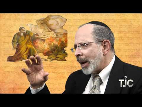 TJC's The Portion: Vaera