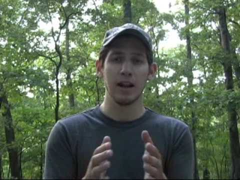 Fox Walking and Wide Angle Vision - Part 2