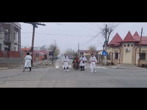 #PLUGUȘORUL#traditional