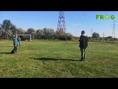 Blackthorn Helios 'Carbon' Obedience Kezdő vizsga