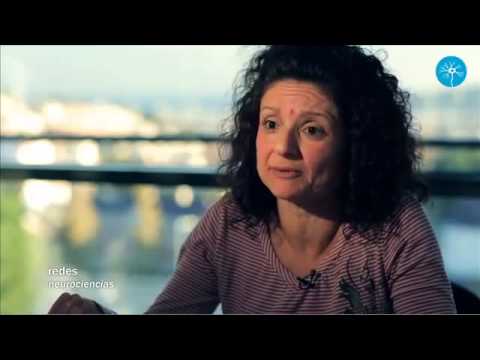 El cerebro no busca la verdad sino sobrevivir