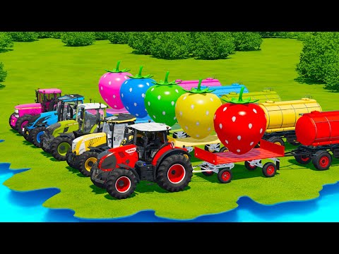 CLAAS vs JOHN DERRE vs McCORMICK vs FENDT vs VALTRA TRACTORS BATTLE WITH GIANT STRAWBERRYS - FS22