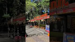 Download lagu Sumber Lanang (Agrowisata Jamus) mp3 Download lagu Sumber Lanang (Agrowisata Jamus) mp3