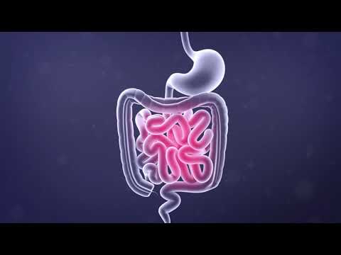 Science Animation - Fatty Acids in the SN2 Position