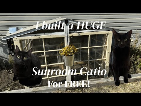 I Made A Huge Sunroom Catio For FREE | Tutorial + Tips For Upcycling Materials ❤︎🐱
