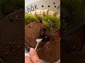 High protein chocolate pancake โปรตีนสูงจาก Matell Soy Protein Isolate