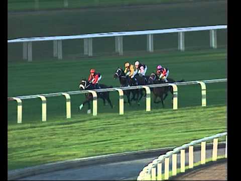 Garden City Trophy 2010