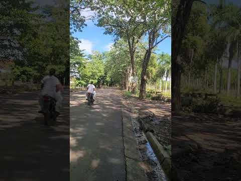 cerca al caserío ubicado por la vía a nevji antioquia entre caucasja caucasia y nechi #shorts