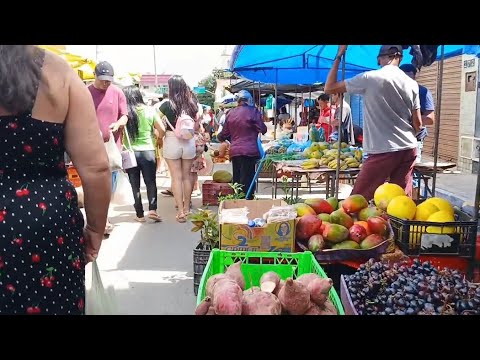 FEIRA LIVRE NA CIDADE DE IBIAPINA CEARÁ DIA 08/03/26