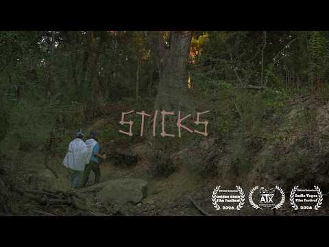 sticks
