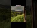 Sahiba Aditya Rikhari Arish Lyrics Music Song Arish Aesthetic Lofi Fyp Trending