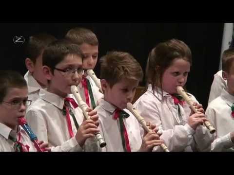 Vajda centenáriumi gálahangverseny