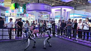 La IV Exposición Internacional de la Cadena de Suministro de China concluye con sólidos resultados