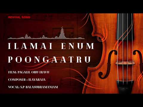 Revival Songs | Ilamai Enum Poongaatru | Pagalil Oru Iravu | Ilayaraja | SP Balasubramaniam