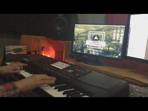 korg pa 700  Erik Dalı