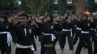 Download lagu GABUNGAN 5 RANTING || SH CABANG TRENGGALEK mp3