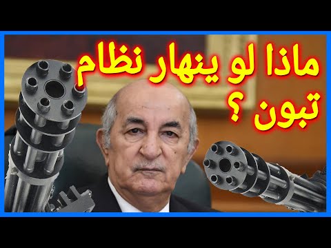 ماذا لو ينـ،هـار نظام الفرنسي تبون ؟ بناء الجزائر بنقل التكنولوجيا والتركيز في العلم
