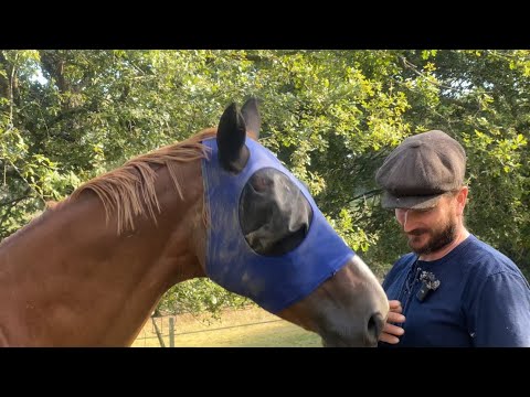 Meet The Residents at Magical Moon farm   @DoingItOurselvesOfficial @SadieinFrance