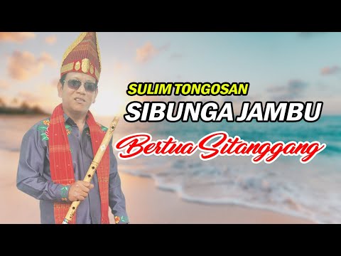 SIBUNGA JAMBU SULIM TONGOSAN BERTUA SITANGGANG