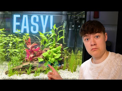 THIS Is How YOU Can Setup Your FIRST Ever Aquarium (Beginner Tank Setup)