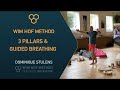 Wim Hof Method guided Breathing -  Dominique Stulens  -  Level 3 Wim Hof Method Instructor