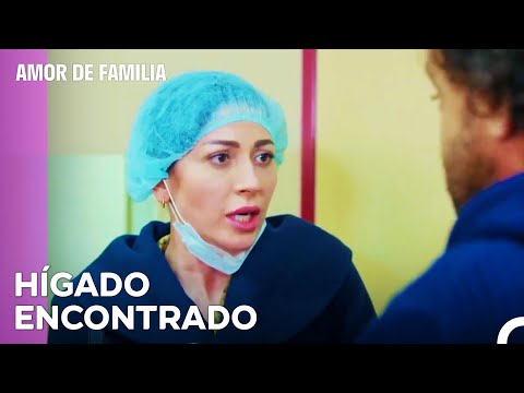 Tratamiento İlegal Del Hígado - Amor De Familia Capitulo 62