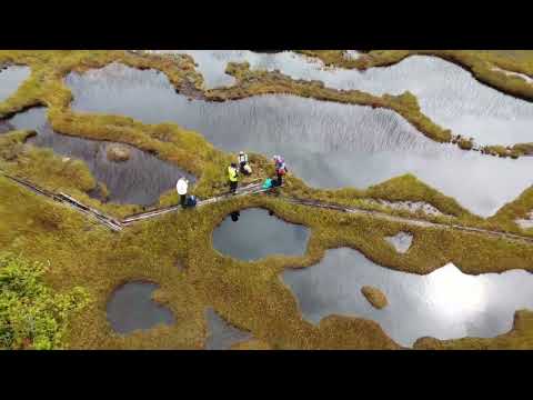 小松原湿原トレッキングツアー2022秋【新潟県十日町市】