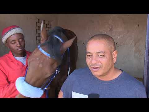 WEIHO MARWING MAC DE LAGO pp