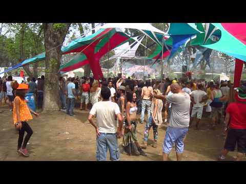 Tip festival 2014 - THE GREEN NUN OF THE REVOLUTION Dick trevor