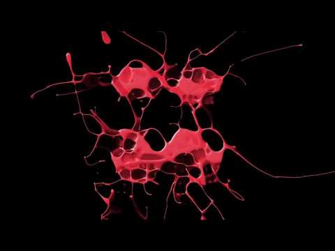 Alex Roque Feat. Sebastian Ledher - You Could Be Mine (Original Dub Mix)