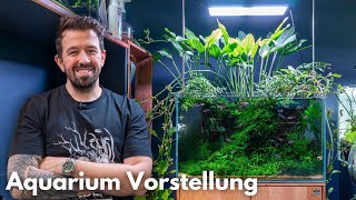 Liquid Garden 60P | Liquid Nature Aquarium Vorstellung