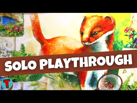 Meadow Board Game | Solo Playthrough | Learn to Play | Totally Tabled