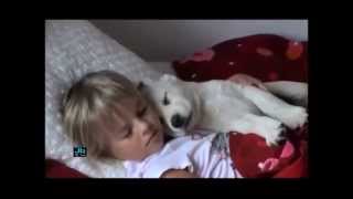 Mary Hopkin - The Puppy Song