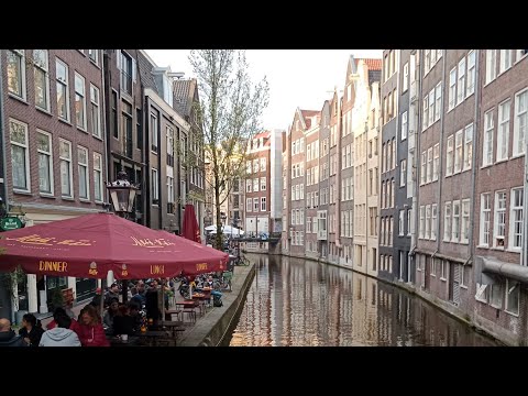 Dam Square Street Performer | Amsterdam, Netherlands