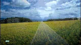 Tim Curry - Anyone Who Had A Heart