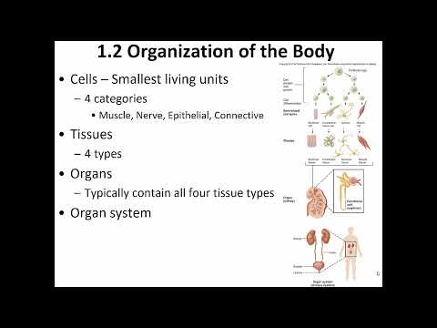 Physiology (Vander's), Ch  1 .1  - 1.5