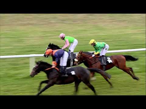 Galopprennbahn Dresden  - 21.11.2018 - Rennen 1