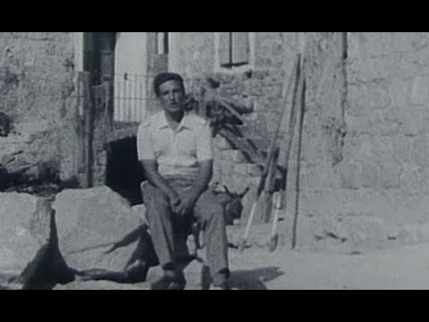 CMC NEWS 08.03.2020. - Hrvatski glazbenici, Trio Gušt, Crvena jabuka, Vice Vukov, Petar Dragojević