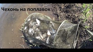 Рыбалка ловля на поплавок чехонь