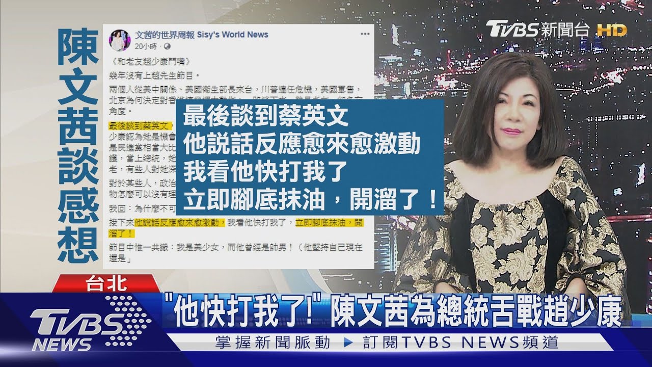 「他快打我了!」 陳文茜為總統舌戰趙少康