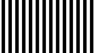 Optokinetic Training: Multiple Distortions Intersecting