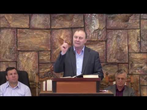 Virgil Neagu - Portretul biruitorului