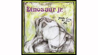 Dinosaur Jr. - In a Jar