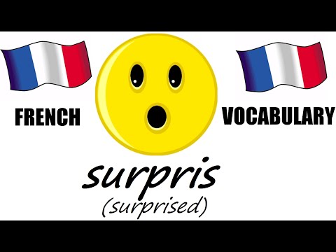 French Lesson 14 - FEELINGS Vocabulary - Learn French - The French Minute